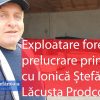 Despre exploatare forestieră și prelucrare primară cu Ionică Ștefănoaia – Lăcusta Prodcom SRL