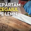 Curățarea MUCEGAIULUI de pe lemn cu soluția Bochemit AntiMucegai