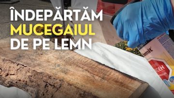 Curățarea MUCEGAIULUI de pe lemn cu soluția Bochemit AntiMucegai