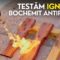 Testăm ignifugarea lemnului cu Bochemit Antiflash Ignifug