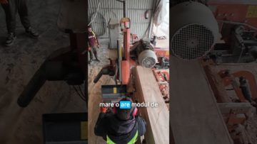 Cum tai buștean la -10 grade fără să pierzi randament