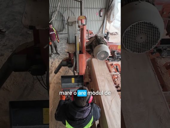 Cum tai buștean la -10 grade fără să pierzi randament