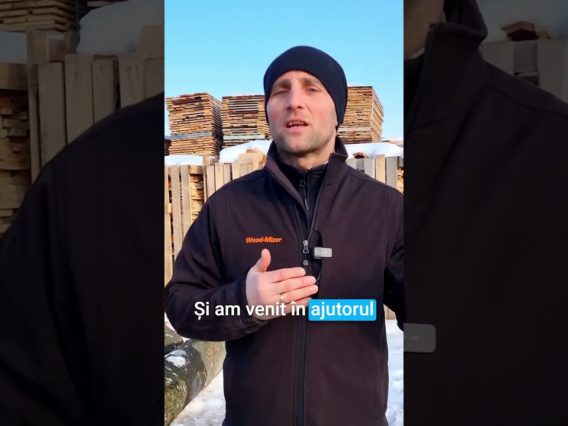 De la lemne de foc la semifabricate pentru industria mobilei